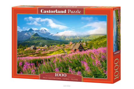 CASTOR PUZZLE 1000 HALA GĄSIENICOWA TATRAS 4512