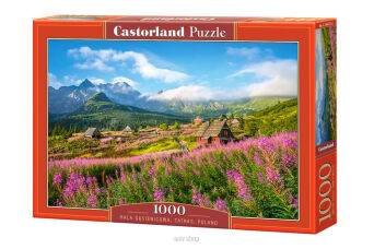 CASTOR PUZZLE 1000 HALA GĄSIENICOWA TATRAS 4512