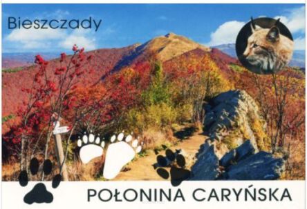 MAGNES KRAJOZNAWCZY SP RZESZÓW / BIESZCZADY 6978