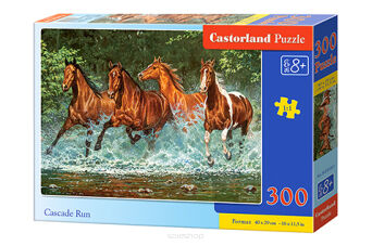 CASTOR PUZZLE 300 CASCADE RUN 0361