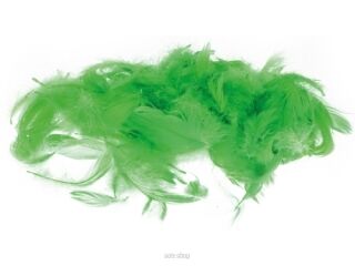 PIÓRKA DEKORACYJNE ZIELONE 7G 2734