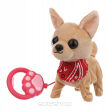 SMILY PIES CHODZĄCY NA SMYCZY CHIHUAHUA 9147 NN - 2