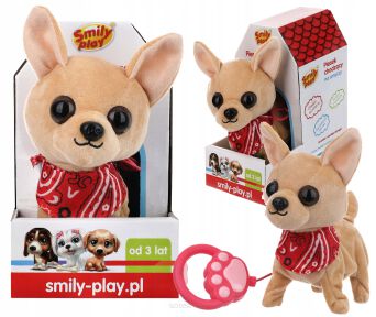 SMILY PIES CHODZĄCY NA SMYCZY CHIHUAHUA 9147 NN