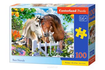 CASTOR PUZZLE 100 BEST FRIENDS 1121