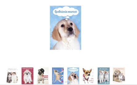 KARTKA ŻYCZENIA BROKAT ZWIERZĘTA B6B (25) 3013