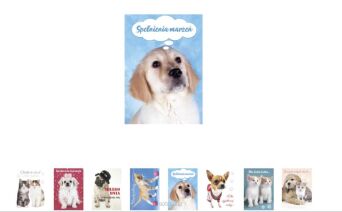 KARTKA ŻYCZENIA BROKAT ZWIERZĘTA B6B (25) 3013