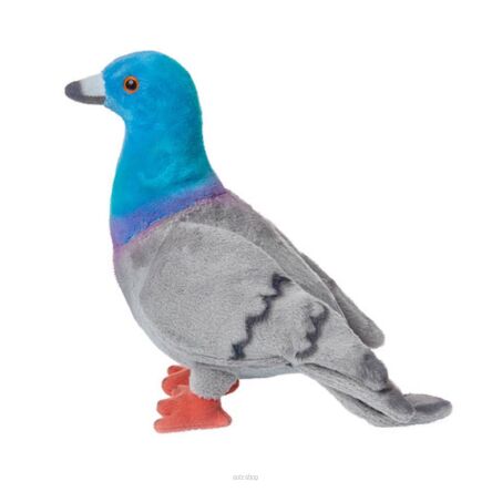 PLUSZ GOŁĄB MIEJSKI 20 CM 2479 NN