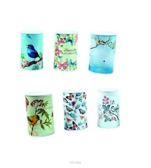 SKARBONKA PTAKI / MOTYLE 8X13 CM 3597