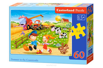 CASTOR PUZZLE 60 SUMMER IN THE COUNTRYSIDE 6878