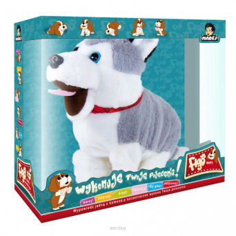 @@ PIES FIGO HUSKY REAGUJĄCY NA KOMENDY 6553 NN