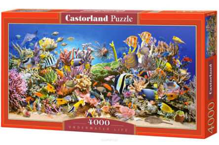 CASTOR PUZZLE 4000 UNDERWATER LIFE 0089