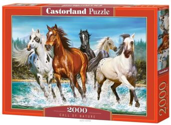 CASTOR PUZZLE 2000 CALL OF NATURE 0702
