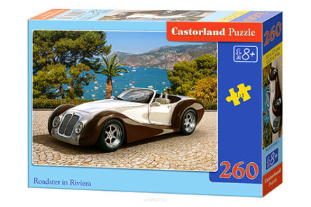 CASTOR PUZZLE 260 ROADSTER IN RIVIERA 7538