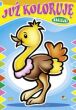 KOLOROWANKA JUŻ KOLORUJĘ 0139 0411 - 3