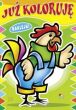KOLOROWANKA JUŻ KOLORUJĘ 0139 0411 - 4