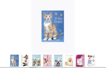 KARTKA ŻYCZENIA BROKAT ZWIERZĘTA B6B (25) 3020