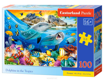 CASTOR PUZZLE 100 DOLPHINIS IN THE TROPICS 1169