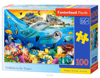 CASTOR PUZZLE 100 DOLPHINIS IN THE TROPICS 1169