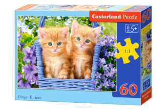 CASTOR PUZZLE 60 GINGER KITTENS 6247