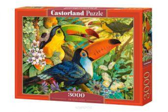 CASTOR PUZZLE 3000 INTERLUDE 0433