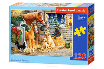 CASTOR PUZZLE 120 GATHERING FRIENDS 3340