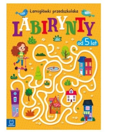 LABIRYNTY ŁAMIGÓWKI PRZEDSZKOLAKA 5+ 1611