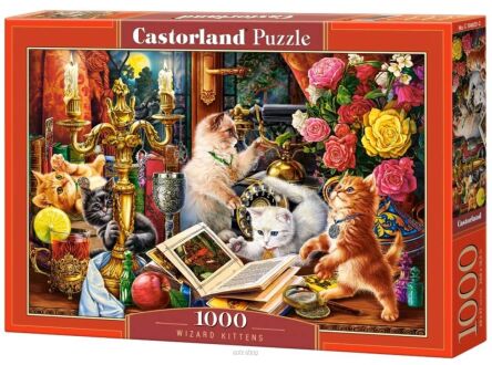 CASTOR PUZZLE 1000 WIZARD KITTENS 4857