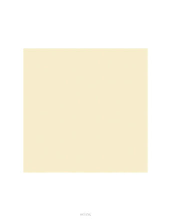 SERWETKI LUNCH ECRU (20) 33x33 5259