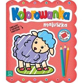 KOL. MALUCHA Z GRUBYM OBRYSEM CZERW CISTECZKO 4636