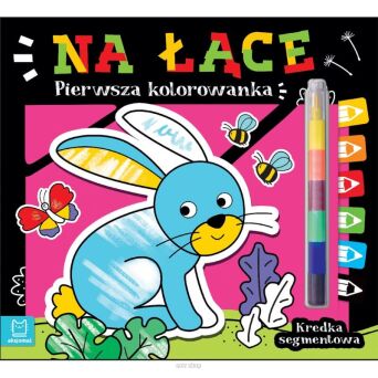 PIERWSZA KOLOROWANKA NA ŁĄCE KREDKA SEGMENT 5046