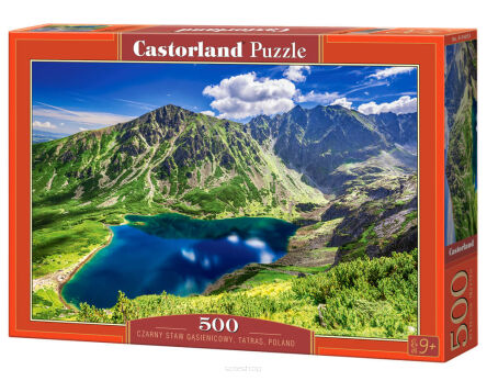 CASTOR PUZZLE 500 CZARNY STAW GĄSIENICOWY 4053 