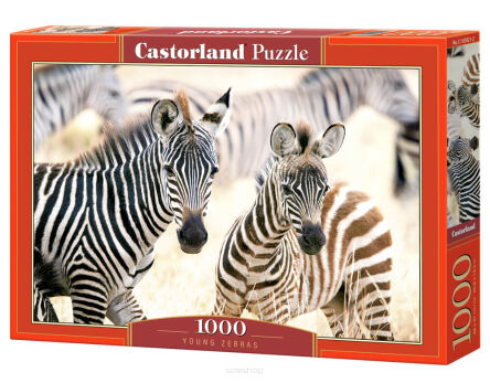 CASTOR PUZZLE 1000 YOUNG ZEBRAS 5021