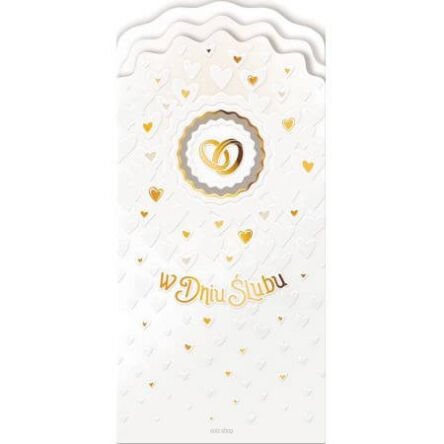 KARNET SERIA DL + AB CARD 6167   7089