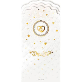 KARNET SERIA DL + AB CARD 6167   7089