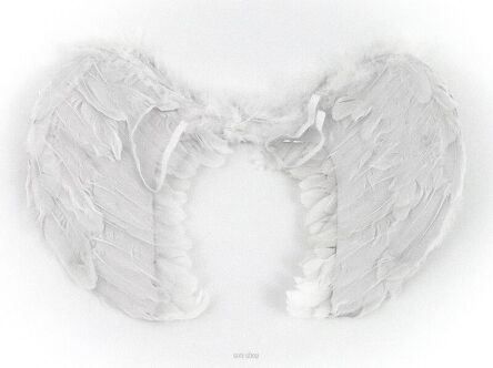 SKRZYDŁA ANIOŁA ANIELSKIE PIÓRA 60X42 CM 4041