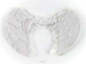 SKRZYDŁA ANIOŁA ANIELSKIE PIÓRA 60X42 CM 4041
