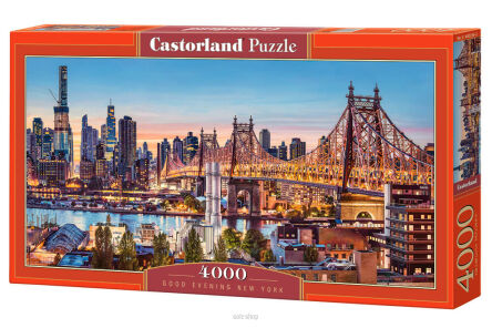 CASTOR PUZZLE 4000 GOOD EVENING NEW YORK 0256