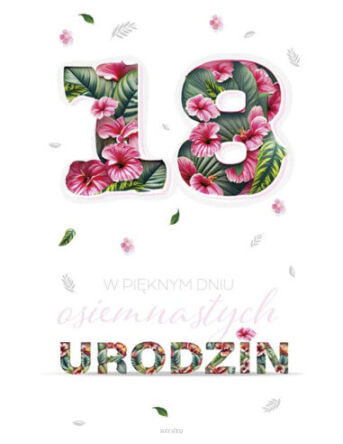 KARTKA URODZINY 18 CHŁ DZIEW (25) 2849