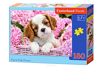 CASTOR PUZZLE 180 PUP IN PINK FLOWERS 8185