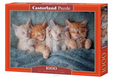 CASTOR PUZZLE 1000 THE SWEETEST KITTENS 5144