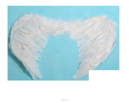SKRZYDŁA ANIOŁA ANIELSKIE PIÓRA 45X34 CM 3799