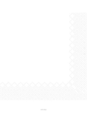 SERWETKI HRC LUNCH BIAŁE 33x33 CM (50) 0556