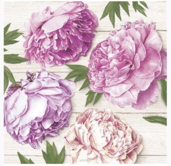 SERWETKI PIWONIE 33x33 CM (20) [24] 5736