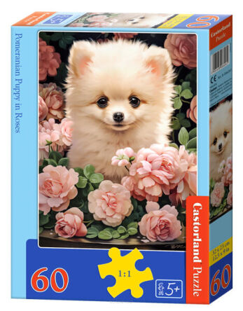 CASTOR PUZZLE 60 POMERANIAN PUPPY IN ROSES 6261