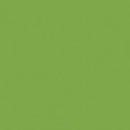 SERWETKI LUNCH ZIELONE 33x33 CM (20) 5457