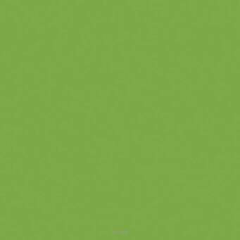 SERWETKI LUNCH ZIELONE 33x33 CM (20) 5457