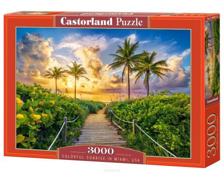 CASTOR PUZZLE 3000 COLORFUL SUNRISE IN MIAMI 0617