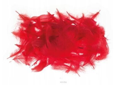 PIÓRKA DEKORACYJNE CZERWONE 7G 2710