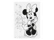 KOLOROWANKA DISNEY MINNIE A4 4491  - 2