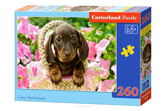 CASTOR PUZZLE 260 CUTE DACHSHUND 7514